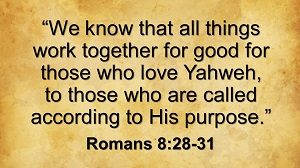 Romans 8:28-31